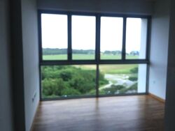 Q Bay Residences (D18), Condominium #595112161